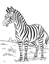 Realistic images of wild animals and mythical carousel favorites are more intricate, suiting older kids and adults. Printable Animals Coloring Pages Topcoloringpages Net