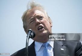 200 Elaine Gordon Stock Photos, High-Res Pictures, and Images