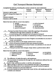 Active continue with more related ideas such passive cell transport worksheet answers, diffusion and osmosis worksheet answers and diffusion and. Cell Summative Review Cell Membrane Osmosis