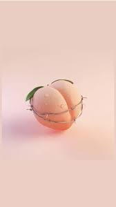 Peach Aesthetic Peachy And Wallpaper Image 6885173 On Favim Com