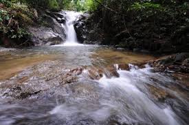 Maybe you would like to learn more about one of these? Alam Sekitar Bersih Biodiversiti Faktor Kenaboi Masih Zon Hijau Utusan Digital