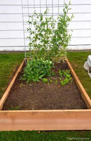 Home » all subscription boxes » home & garden. Raised Bed Rehab Frugal Family Home