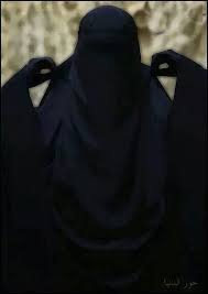 معنى الخمار لنتعرف على معنى الخمار وعلى معنى النقاب حتى نضع النقط على الحروف من بداية هذا اللقاء الخمار هو ما تخمر به المرأة وجهها من أين هذا الكلام من ك
