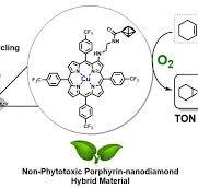Porphyrin–Nanodiamond Hybrid Materials—Active, Stable and ...