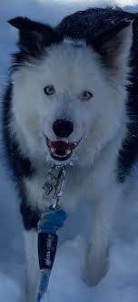 Wanda Pender Photography (@wandapenderphotography) • Facebook