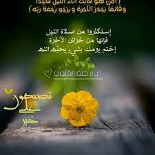 صبح و مساء Sabbah W Masa Instagram Photos And Videos Quran Quotes Inspirational Inspirational Quotes Quran Quotes