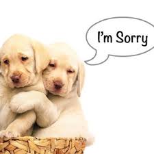 Maybe you would like to learn more about one of these? Sorry Images On Twitter Sad Images In Punjabi Sad Shayari In Punjabi Sad Quotes In Punjabi Sad Pictures Https T Co Uw6vsdylxm