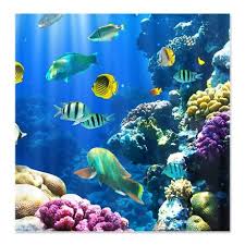 Ocean Life Shower Curtain By Daecu Cafepress Tropical Fish Ocean Creatures Ocean Life