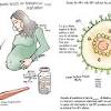 The four new worrying symptoms warning of a possible infection. 1