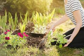 Here is a vegetable garden that uses a number of small raised garden beds to organize vegetables. 25 Cheap Landscaping Ideas That Fit Your Budget Mymove