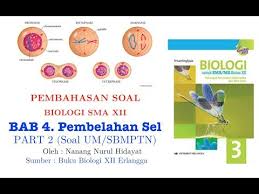 Check spelling or type a new query. Mas Dayat Youtube