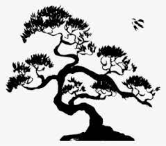 Select from premium bonsai tree images of the highest quality. 71e63a85e64fc2b1d0f0 Bonsai Tree Silhouette Png Transparent Png 707x440 Free Download On Nicepng