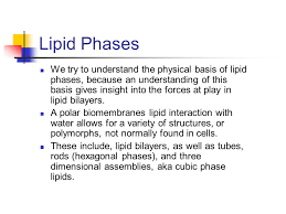 Introduction Into Cubic Phase Lipids Matt Chandler.