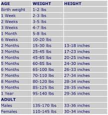 Great Dane Growth Chart