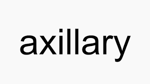 Record the pronunciation of this word in your own voice and play it to listen to how you have pronounced it. How To Pronounce Axillary Youtube