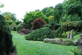 Estate Gardens Conifers Garden Garden Design Pictures Garden Design
