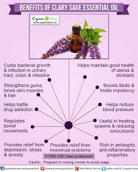 Health Benefits Of Clary Sage Essential Oil Organic Facts Clary Sage Essential Oil Sage Essential Oil Essential Oils Aromatherapy