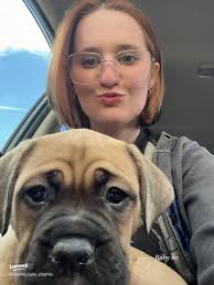 Charlie boxer-husky mix