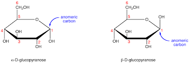 Browse the use examples 'anomeric carbon' in the great english corpus. Anomeric Carbon Chemistry Libretexts