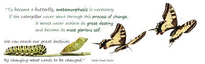 We Are All Butterflies Butterfly Quotes Metamorphosis Process Of Change
