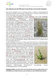 Doch gibt es noch sehr viel mehr tiere, die man allerdings nicht direkt auf den ersten blick sieht. Das Leben Am Und Im Wattenmeer Der Nordsee Downl Criavis Verlag