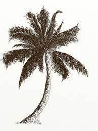 نقاشی برای کودکان چت روم ازاده palme zeichnung baume zeichnen baumkunst