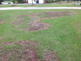 A good grounding in mathematics. Cvdwl8p Vzowfm