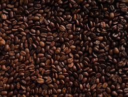 Image result for Coffea salvatrix