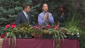 Shade cloth canopies are a great way to protect your garden. How To Make An Awesome Shade Garden 9news Com