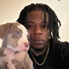 American pit bull /Cane corso mix