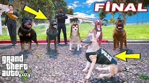 Yavru Kangal Ve Arkadaslari K9 Polis Kopegi Oluyor Final Gta 5 Youtube