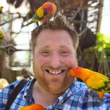 Festival 2022 Other Platform Games