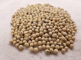 We did not find results for: 9 Jenis Kacang Populer Di Nusantara Dengan Berbagai Manfaatnya