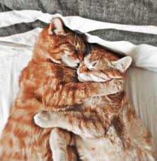 Calm Aesthetic In 2021