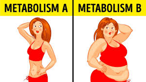 What The Metabolic Diet Is And How It Works Youtube