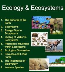 Ecology Unit Bundle Sustainable Ecosystems Google Slides Distance Learning Ecology Unit Ecosystems Unit Ecosystems Lessons
