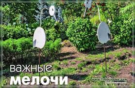 By bobby agung prasetyo 27 juni 2021 108829. Menghias Situs Tentang Taman Pondok Dan Tanaman Hias