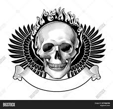 Here you can explore hq free fire transparent illustrations, icons and clipart with filter setting like size, type, color etc. Engraved Human Skull Image Photo Free Trial Bigstock