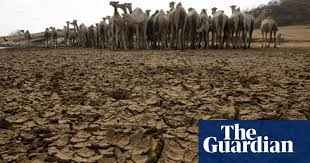 Deserts are hot and dry. Climate Change Is Here It Is A Reality Climate Change The Guardian