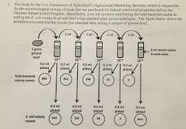 Cfu /ml in the original sample. A What Was The Total Concentration Of Bacteria Chegg Com