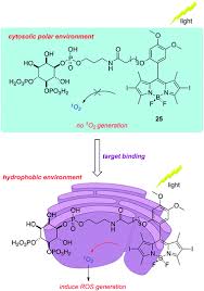 Compare the local time of two timezones, countries or cities of the world. Bodipy Dyes In Photodynamic Therapy Chemical Society Reviews Rsc Publishing