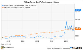 Why Marijuana Stock Village Farms Soared 90 In February