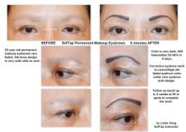 Softap Permanent Makeup Eyebrows And Corrective Camouflage