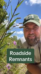 Exploring Grassland Remnants in Alabama
