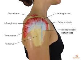 Pin On Chronic Pain Help