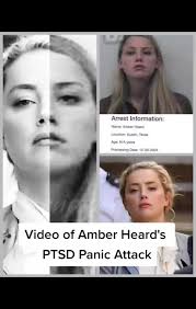 Amber Heard Lying