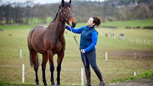 Buying A Horse | Horse & Hound's Ultimate Guide To Finding The Right Horse