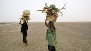 Contact free firewood on messenger. The Moto Log How Cooking With Coffee Can Keep Refugees Safe Peace Reset Org