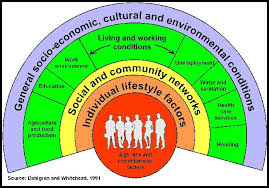 Social Determinants Of Health Social Determinants Of Health Health Promotion Health And Wellbeing