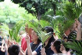Daun palem adalah simbol dari kemenangan. Hari Ini Umat Katolik Dunia Rayakan Minggu Palma Banten Siberindo